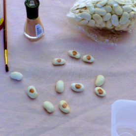 counting beans to make