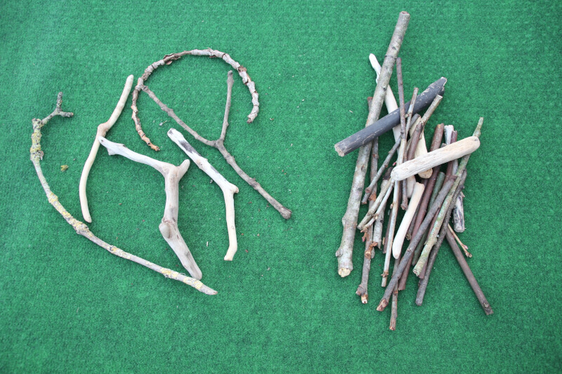 straight sticks in one pile, curved, forked, zig-zag sticks in a second pile 