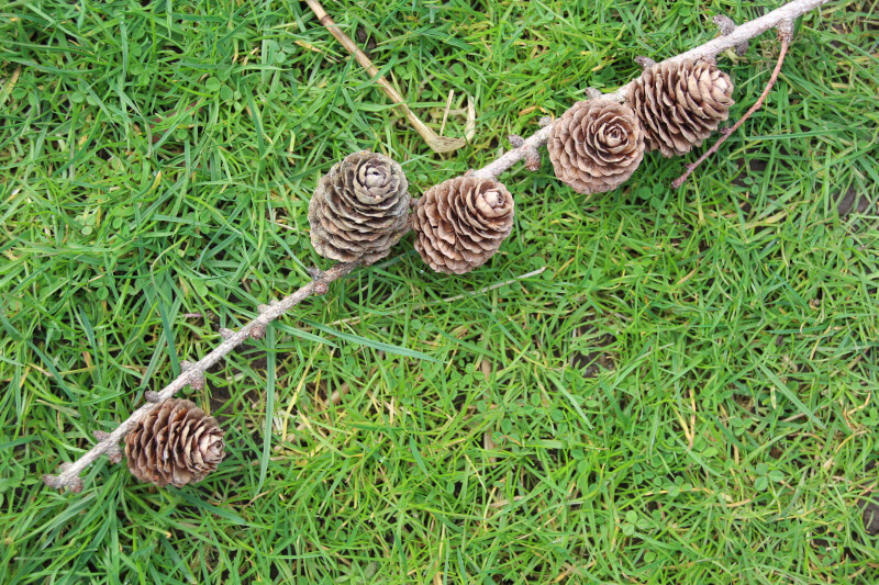 five cones on a stick two add two add one