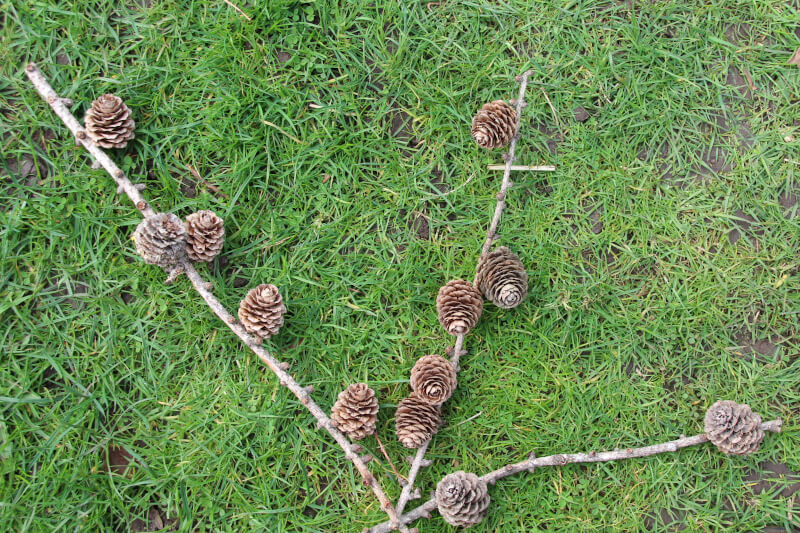 twelve cones, two sticks with five and another stick with two