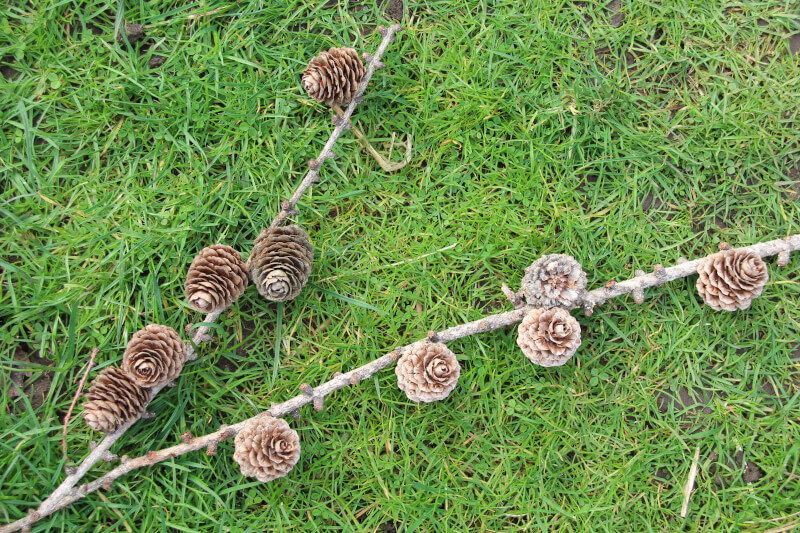 ten cones, five on one stick and five on a second stick
