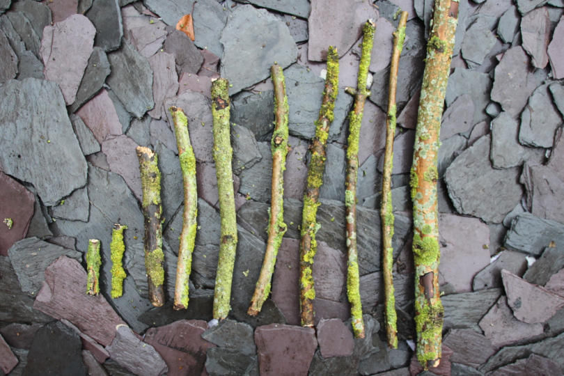 straight sticks sorted in order of size 