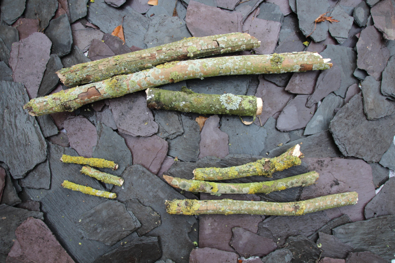 straight sticks sorted into three groups depending on thickness 
