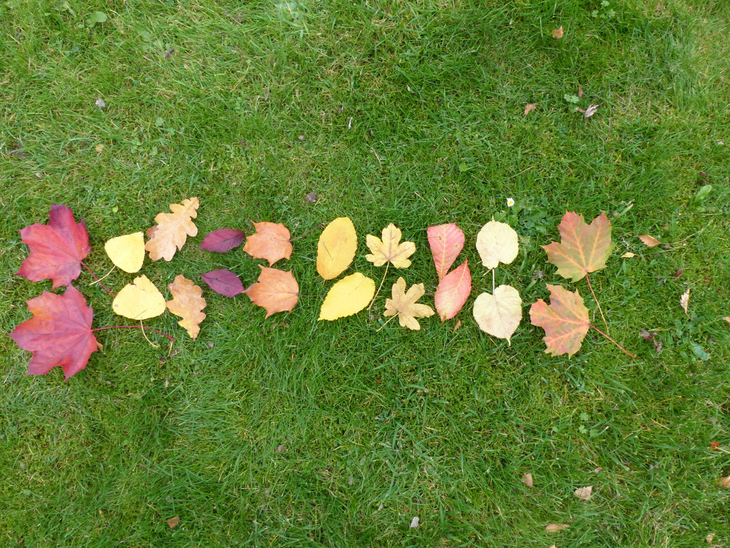 2x-times-tables-whiteboard-activity 10x2