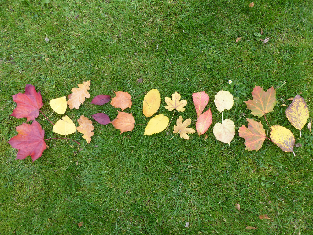 2x-times-tables-whiteboard-activity 11x2