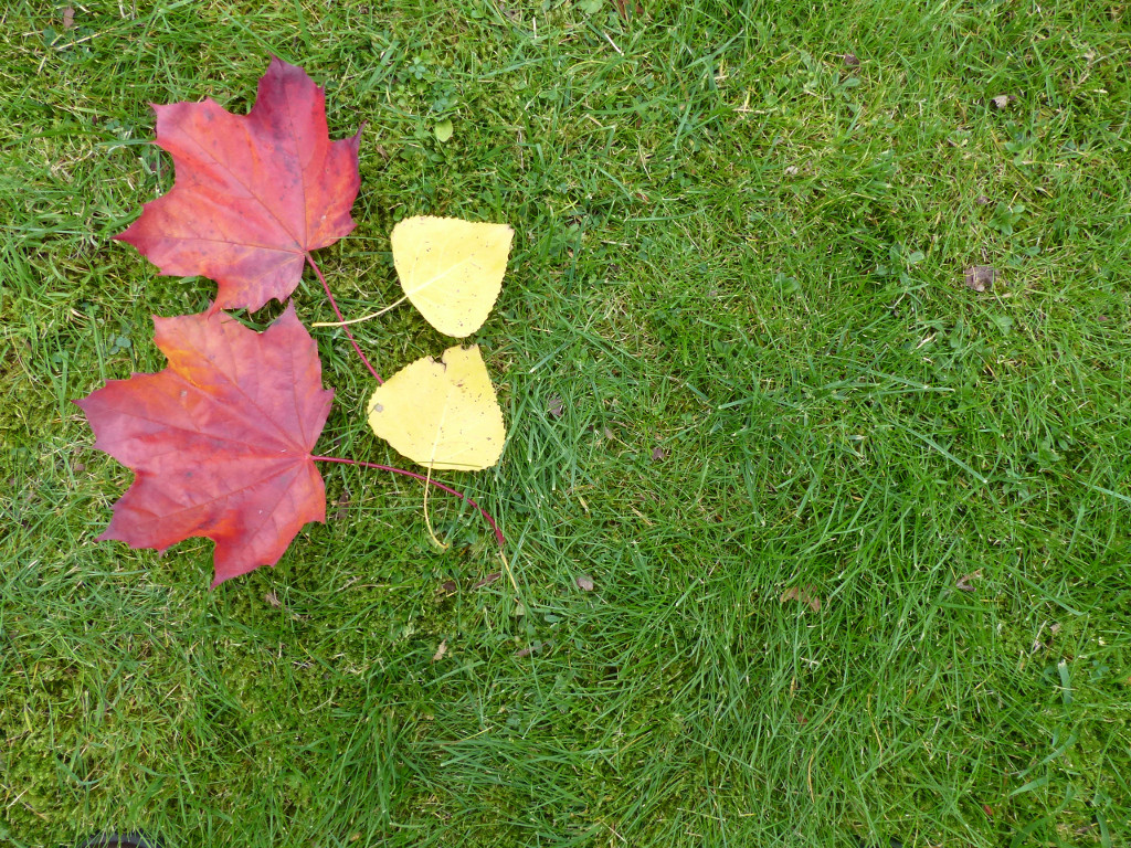 2x-times-tables-whiteboard-activity 2x2