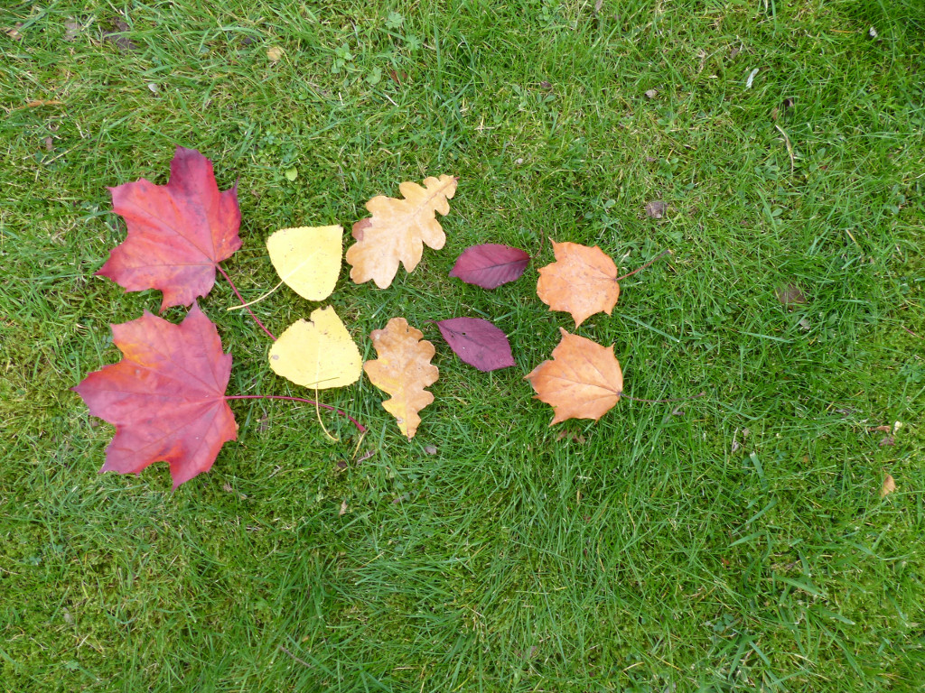 2x-times-tables-whiteboard-activity 5x2