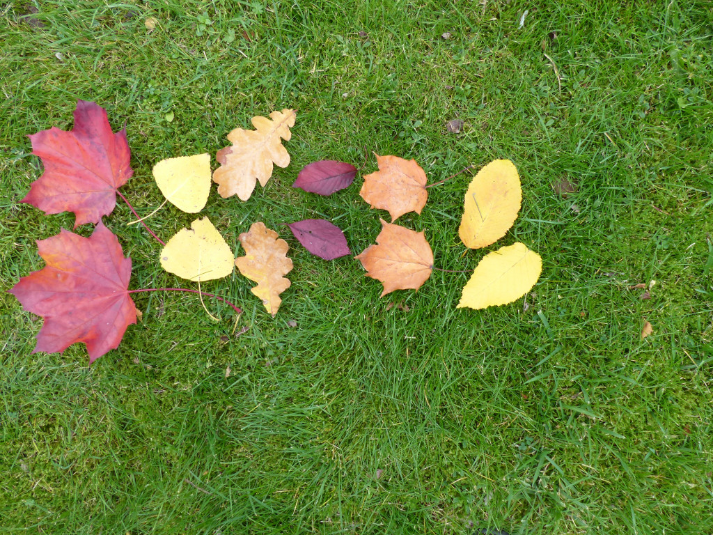 2x-times-tables-whiteboard-activity 6x2