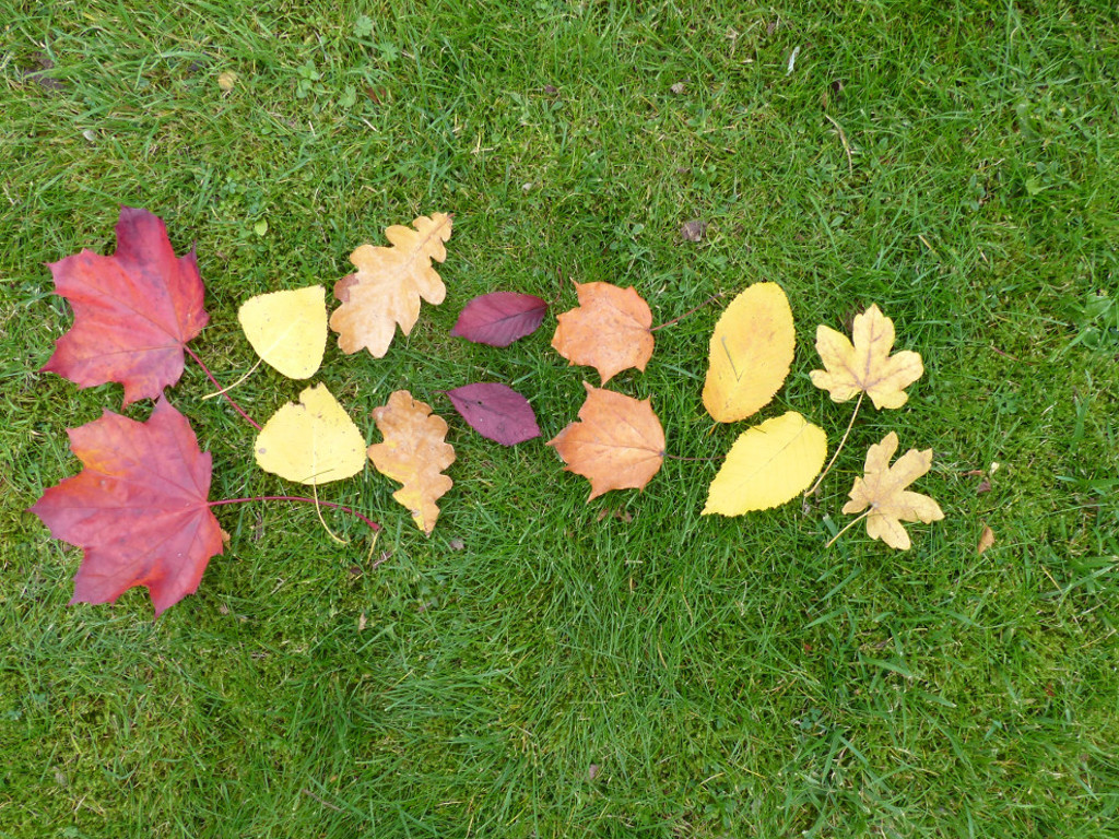 2x-times-tables-whiteboard-activity 7x2