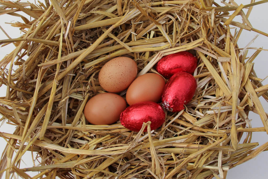 2 times 3 eggs in a nest