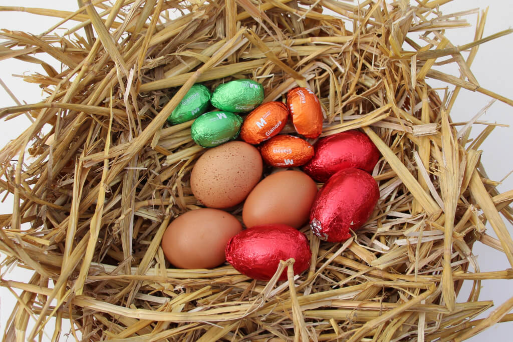 4 times 3 eggs in a nest