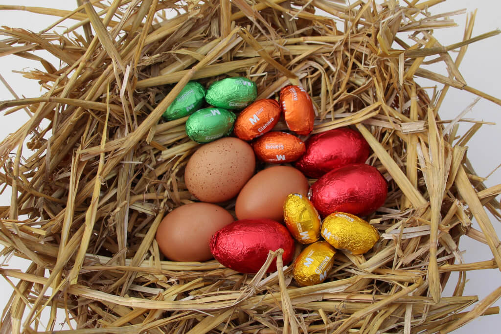 5 times 3 eggs in a nest