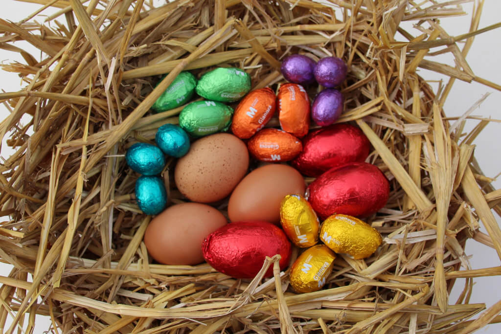 7 times 3 eggs in a nest