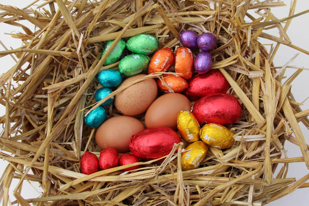 8 times 3 eggs in a nest