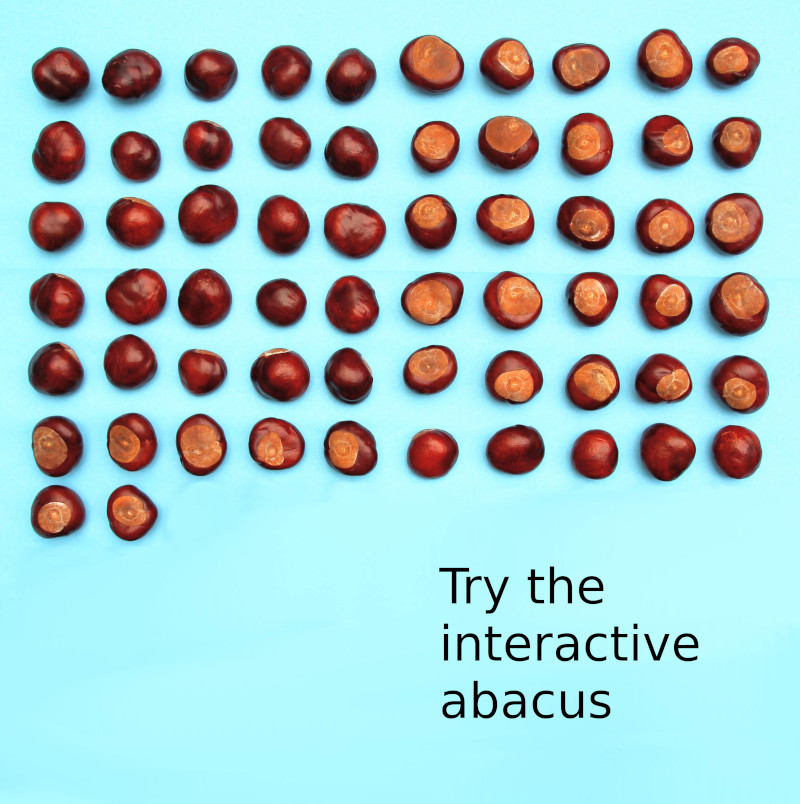 62 conkers arranged as a slavonic abacus